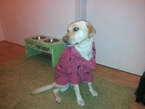 20130531_002922.jpg image
