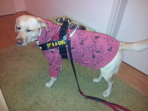 20130531_003046.jpg image