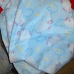 DSC03906